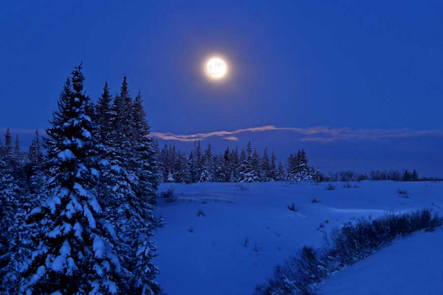 Night Adventure sneeuwschoensafari 2 uur, Trysil