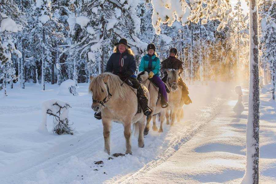 Vakantie Winter paardrijtocht 2,5 uur, Trysil in Diversen (Noorwegen Winter, Noorwegen)