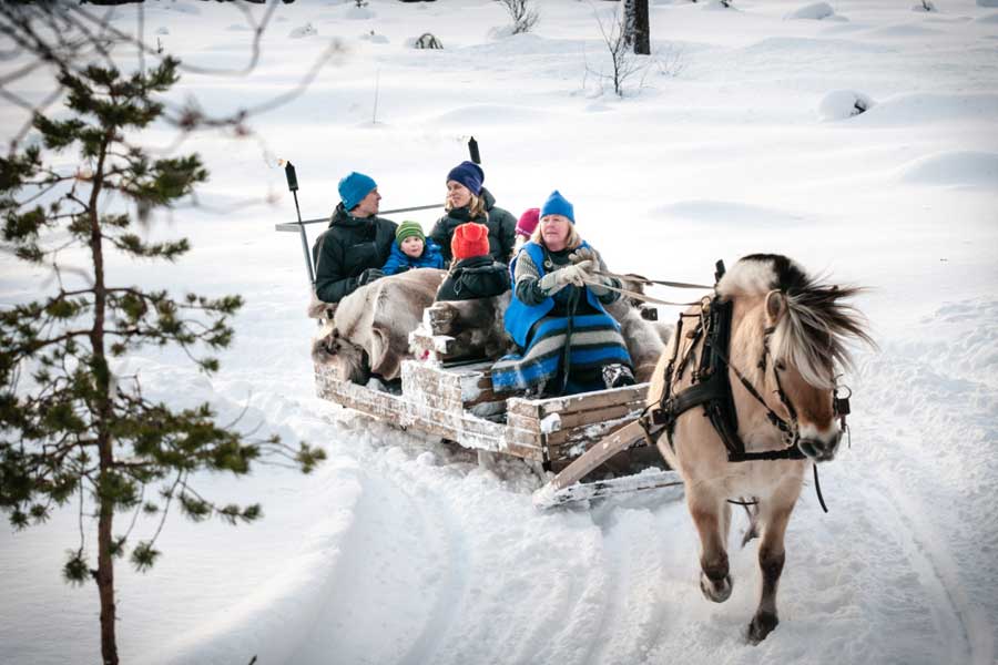 Vakantie Winterse (diner-)arrensleetocht 2,5 uur, Trysil in Diversen (Noorwegen Winter, Noorwegen)