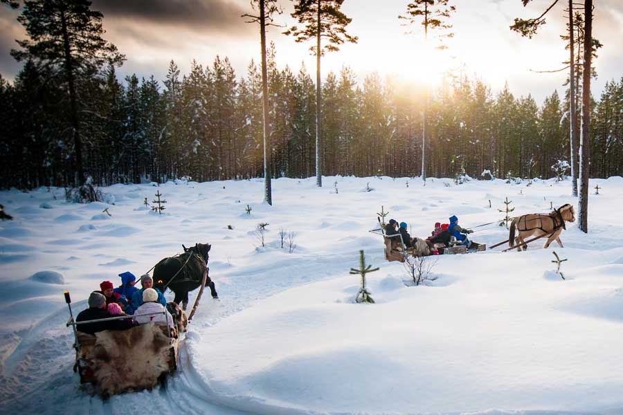 Winterse arrensleetocht 2,5 uur, Trysil