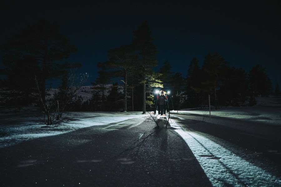 Mensen in het besneeuwde bos in de avond tijdens een sneeuwschoenwandeling