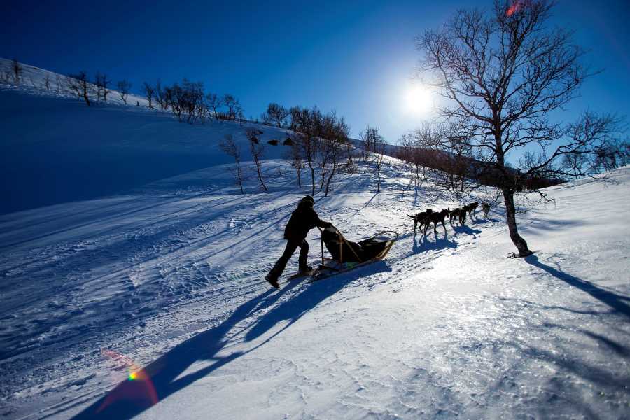 Huskytocht in de sneeuw in Hardangervidda