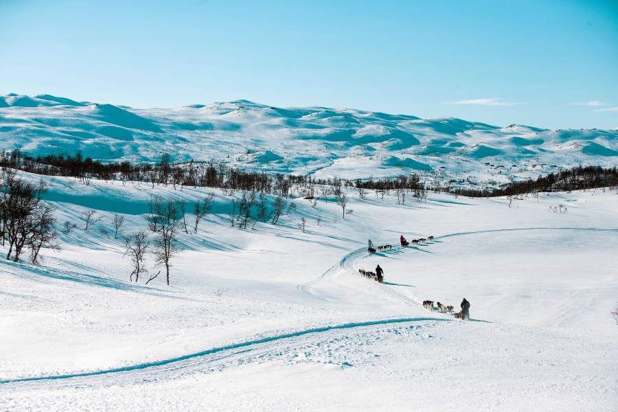 Huskytocht in de sneeuw in Hardangervidda