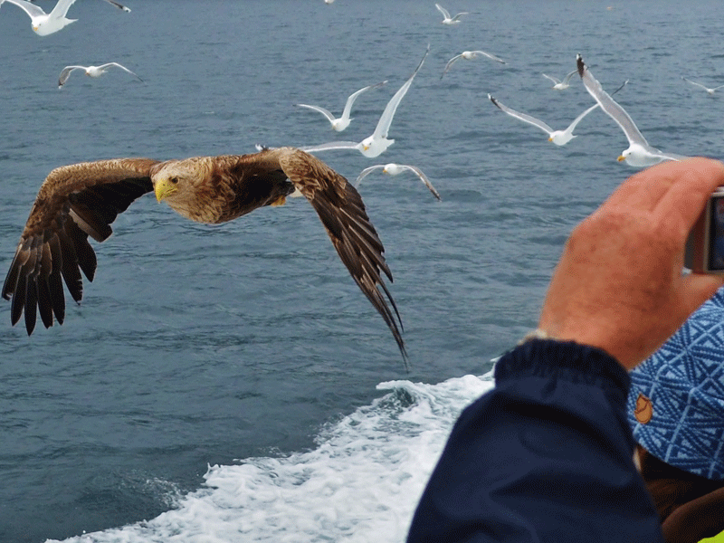 Fly Drive Noorwegen