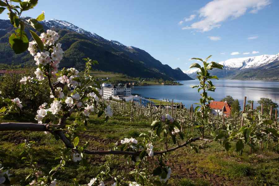 Hotel Ullensvang, Lofthus