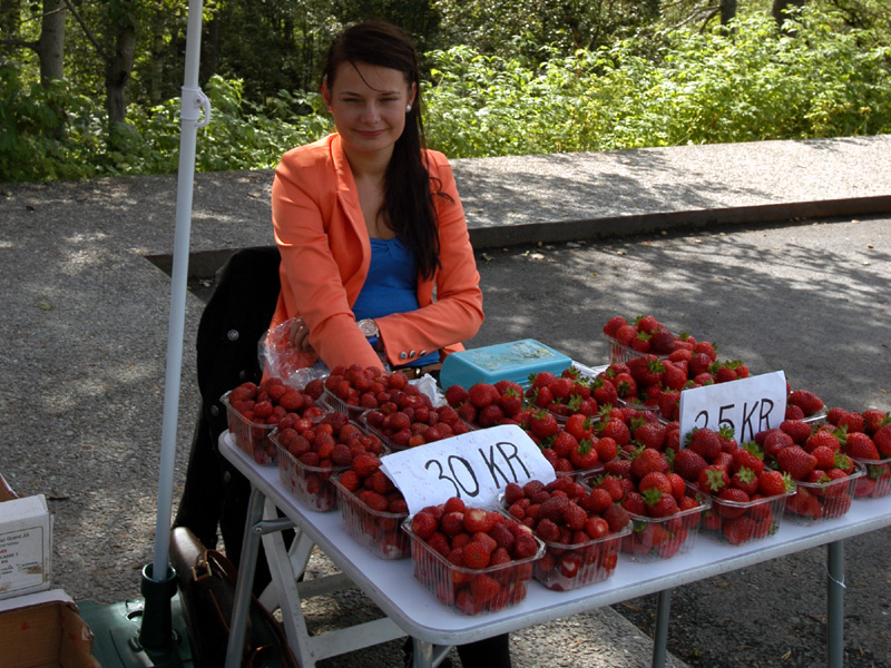 lekkere aardbeien langs de weg