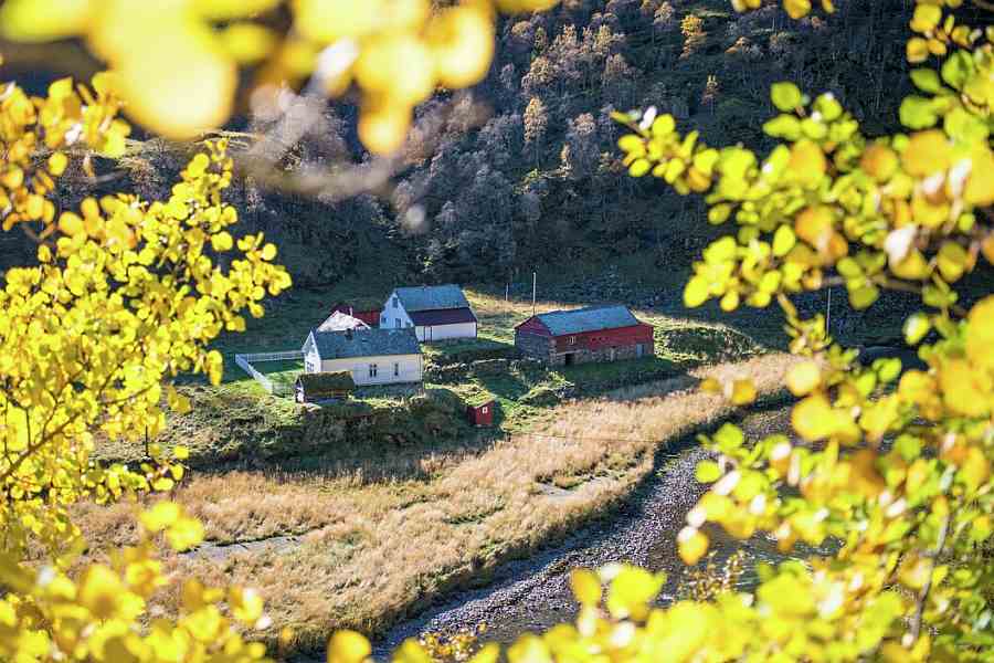 Flåmsdalen