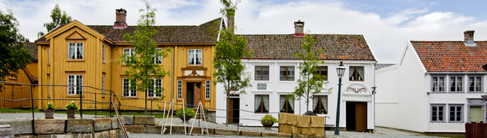 3A Nidaros-kathedraal & Ringve Museum (03apr - 02sept)