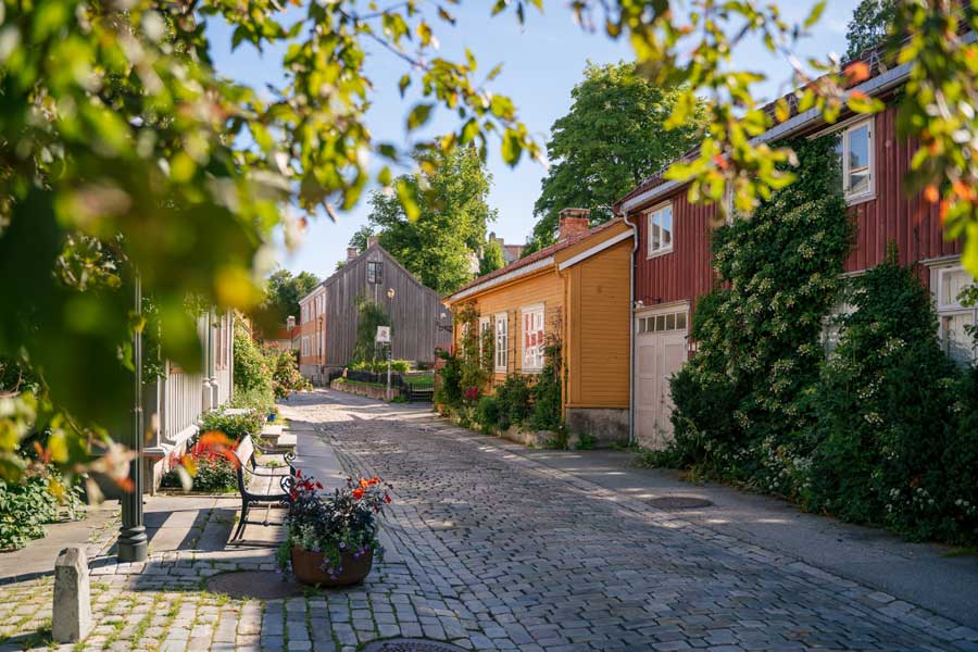 Hurtigruten excursie fietsen door Trondheim met BBI Travel