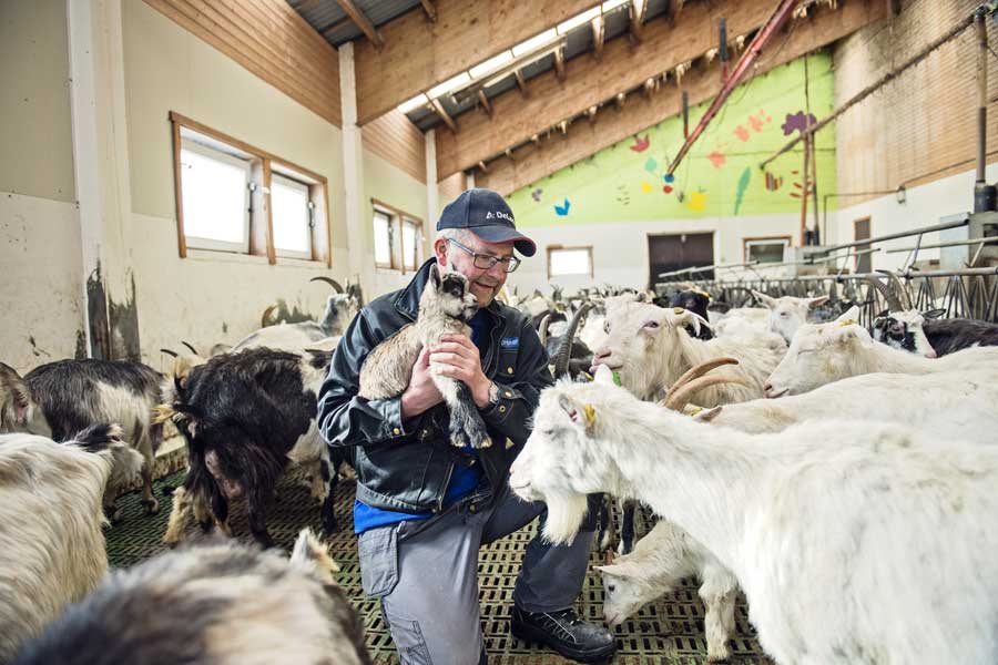 Boerderijbezoek op de Lofoten