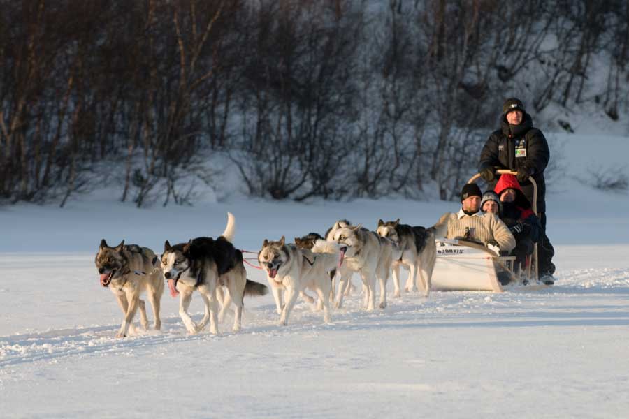 Huskysafari in Kirkenes