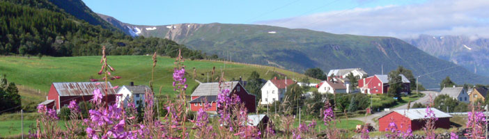 9J Elektrisch cruisen op de Lofoten (01mei - 30sept)