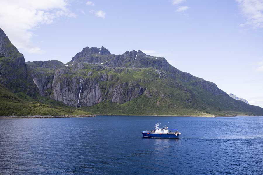 Hurtigruten excursie Zeearendsafari Trollfjord met BBI Travel