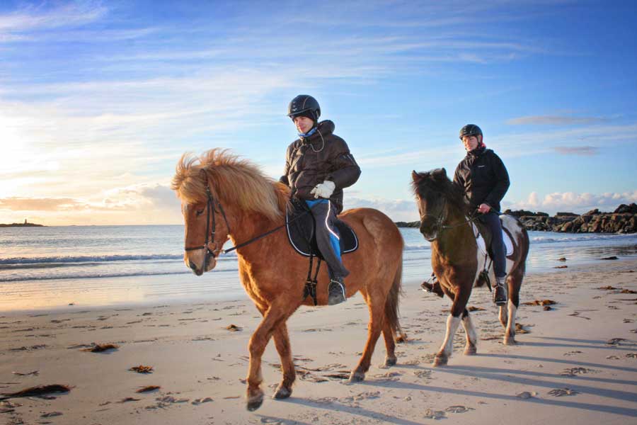 Paardrijden op de Lofoten