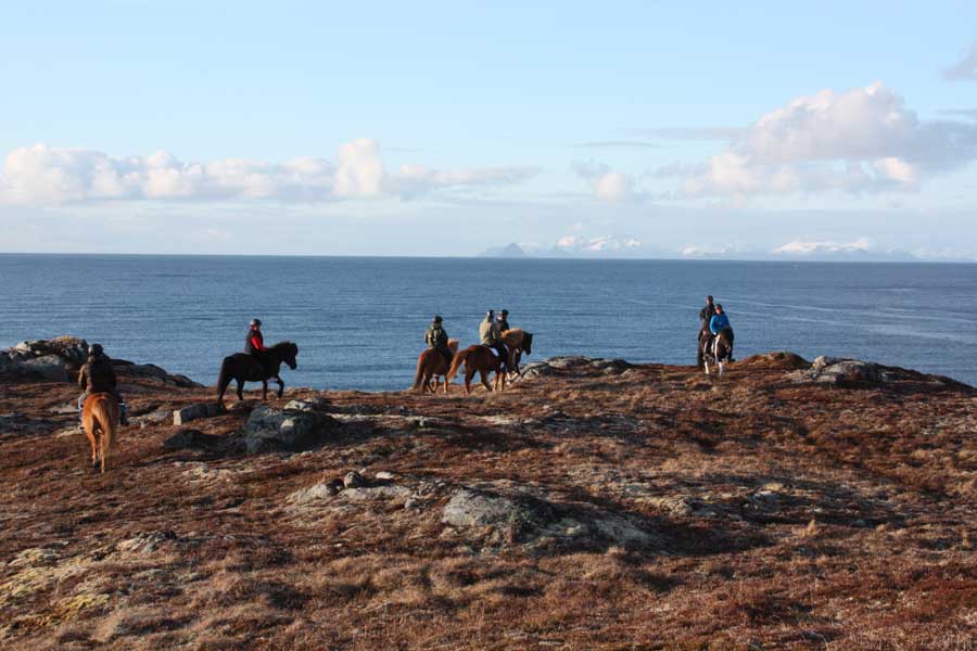 Hurtigruten excursie Lofoten te paard met BBI Travel