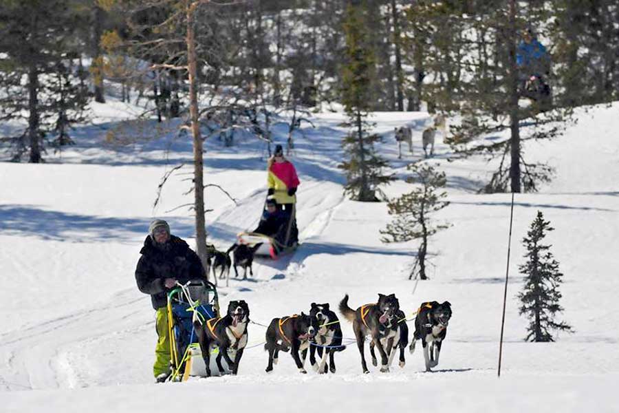 Skistar Lodge Trysil Hotel & Appartementen, Trysil winter sport Noorwegen 2023/2024 met eigen auto en ferry