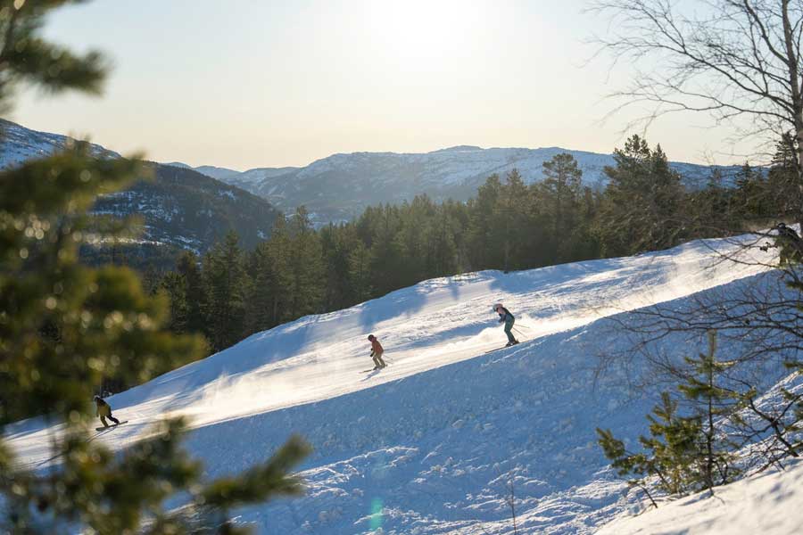 Skiërs in het skigebied Vrådal
