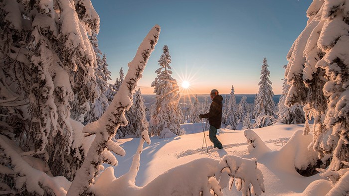 The Lodge appartementen, Trysil Noorwegen wintersport 2022/2023 (Nieuw) vanaf Groningen Airport