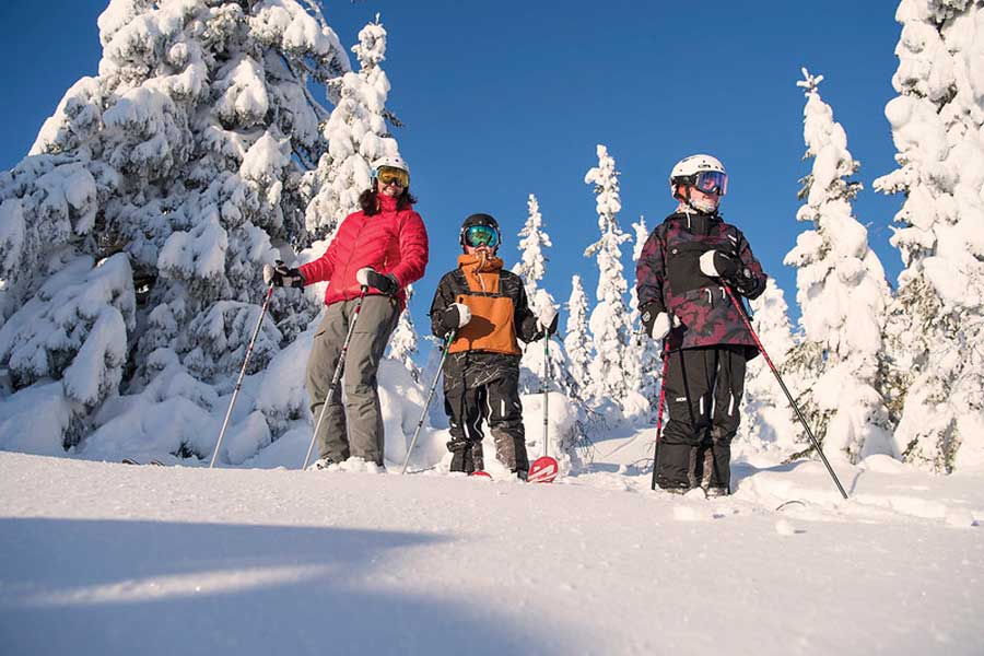 Skiërs in de benseeuwde bossen in Trysil