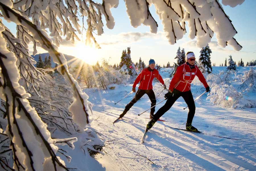 Langlauf in Trysil, Noorwegen. Wintersport