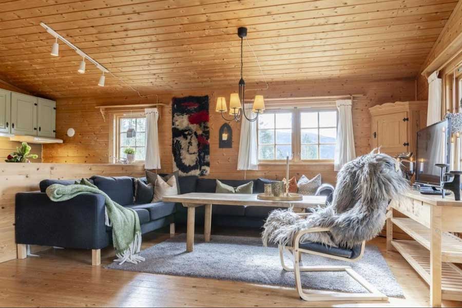 Woonkamer in Fregnhytta