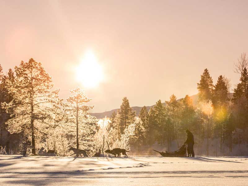 Vakantie Malangen Resort Hotel 2022/2023 in Diversen (Noorwegen Winter, Noorwegen)