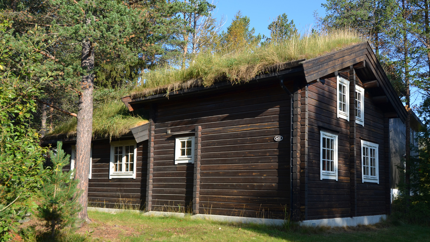 Vakantie 8-daags Geilo Arrangement - Bardola Fjelltun 2023 in Diversen (Noorwegen, Noorwegen)