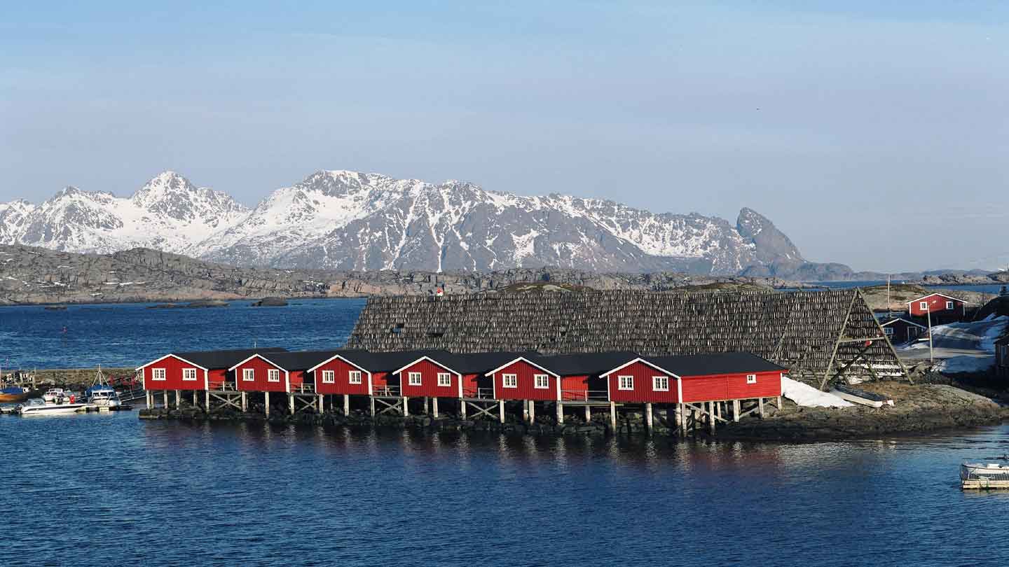 Herfstarrangement Lofoten Noorderlicht afbeelding