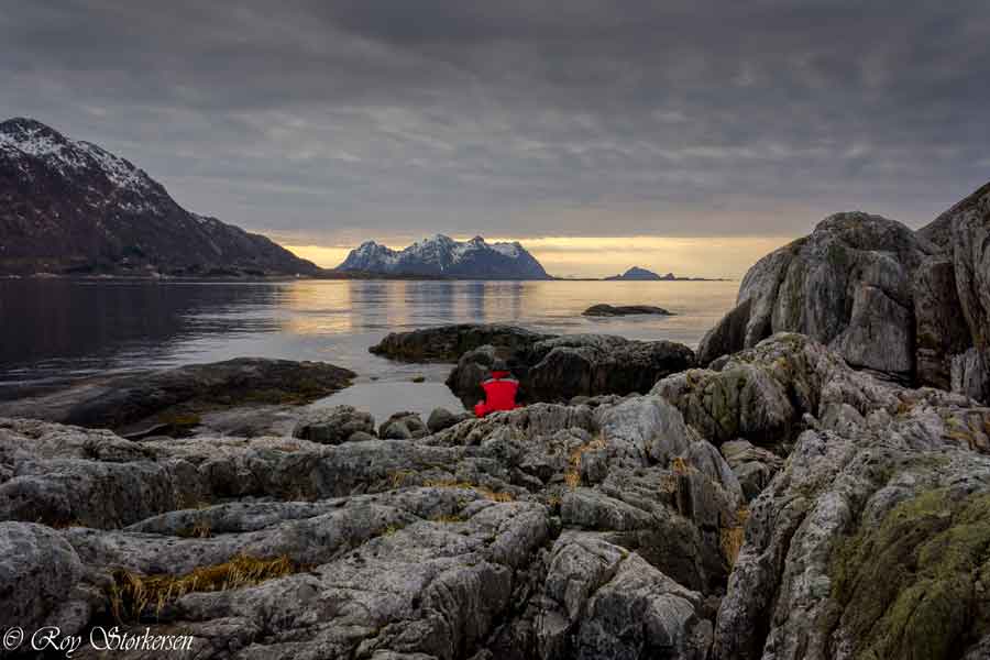 Herfstarrangement Lofoten Noorderlicht