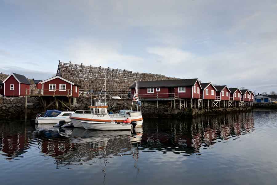 Herfstarrangement Lofoten Noorderlicht