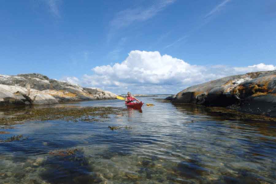 Family kayak tour Skärgårdsidyllen Grebbestad