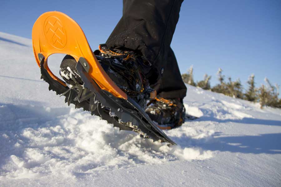 Sneeuwschoenwandeling in Salen, Zweden