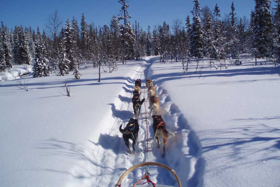 Huskytransfer Airport - Salen