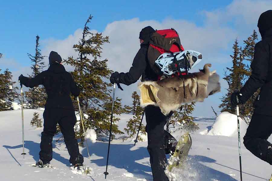 Sneeuwschoenwandeling in Stöten, Zweden