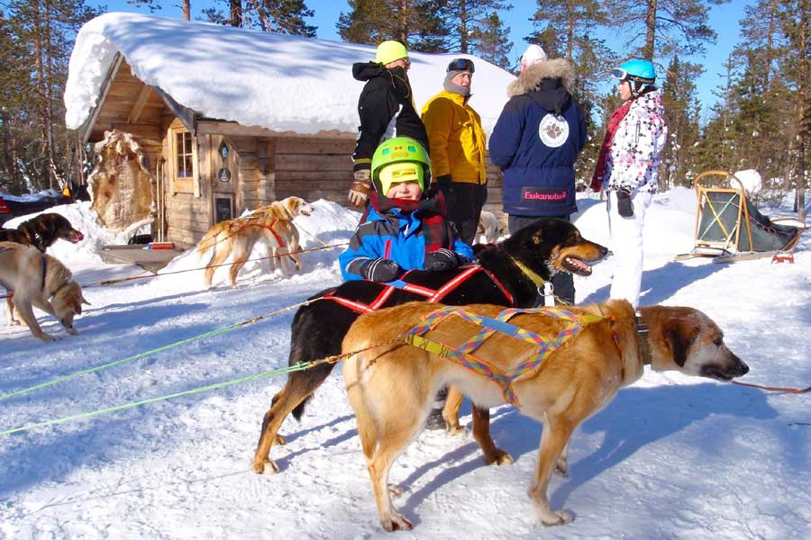 Huskysafari familie wildernistour in Tandadalen Zweden