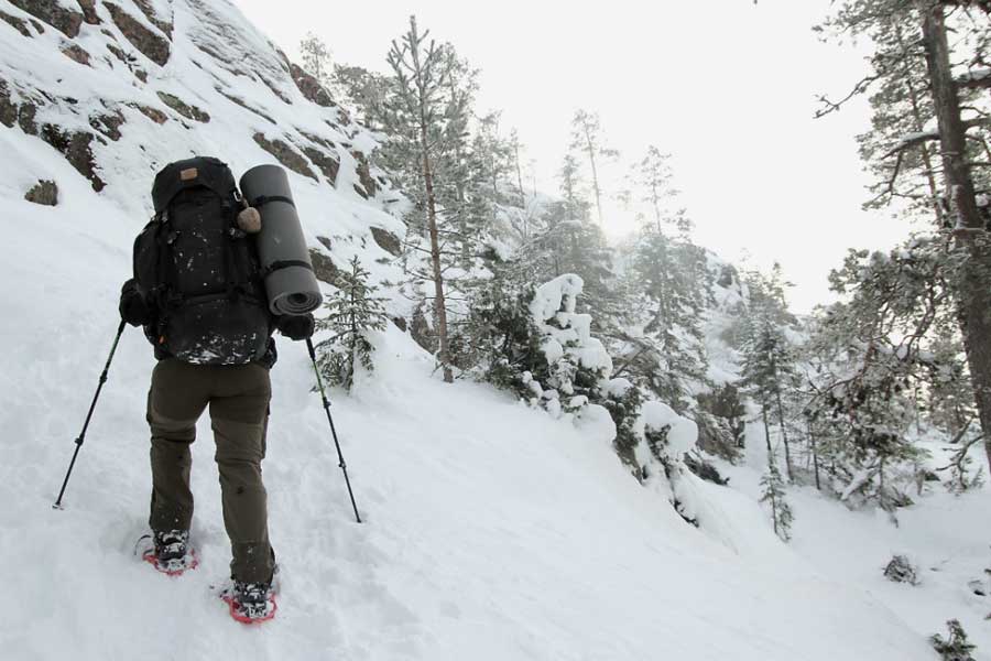 SEEXVE07Sneeuwschoenwandelen 2 uur in Vemdalen Zweden