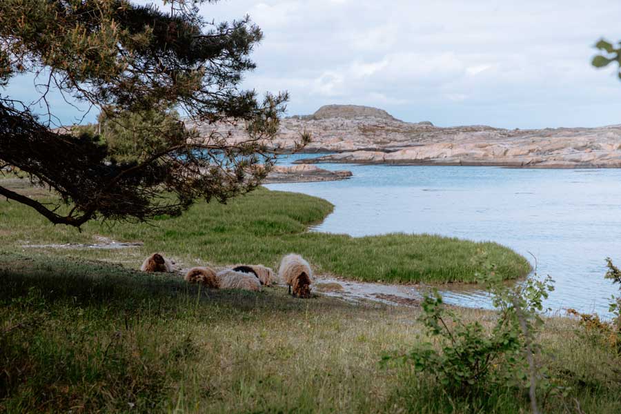 Bohuslän 