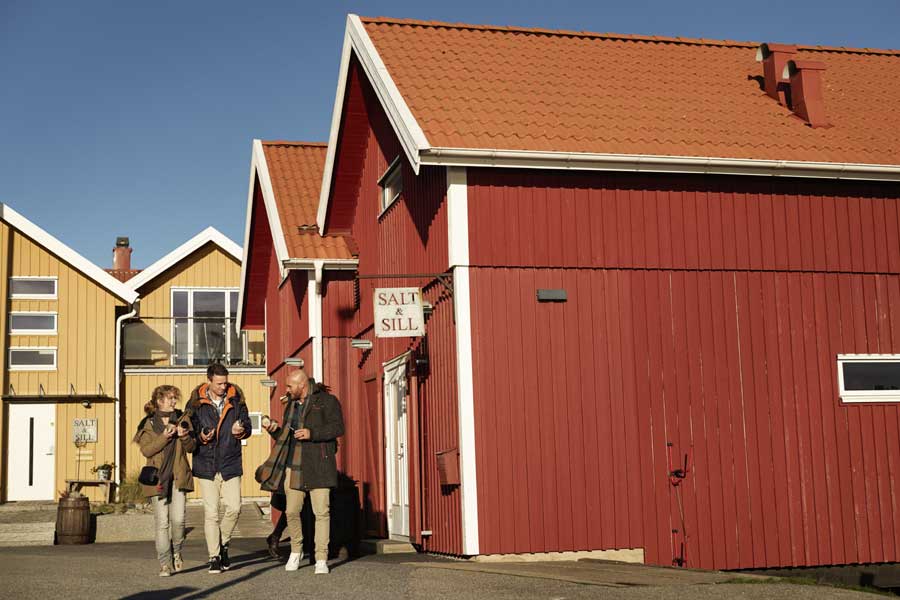 Salt & Sill