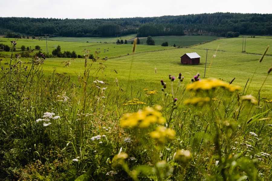 Autorondreis door het Zweedse platteland