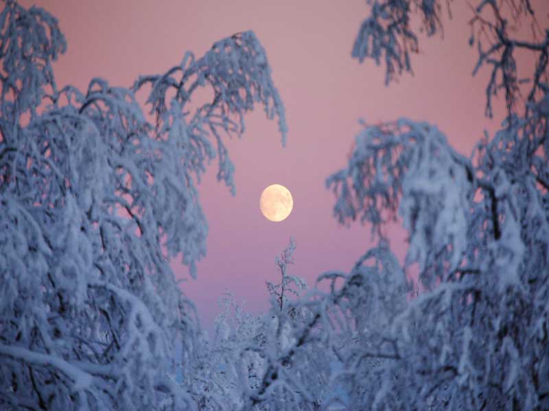 Winter in Kiruna, Zweeds Lapland