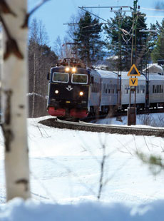 Treinavontuur Lapland