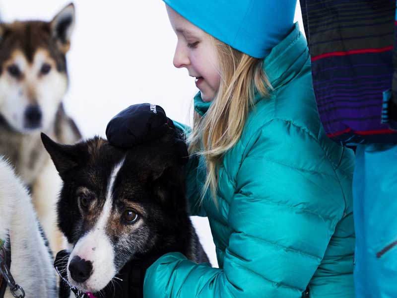 Huskysafari Kiruna