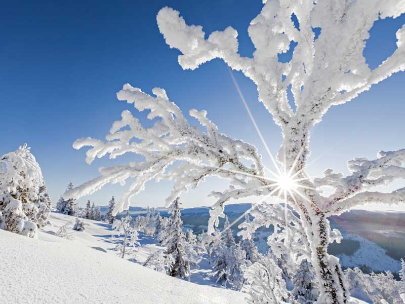 Holiday Club Hotel Åre, Zweden wintersport 2023/24 met KLM