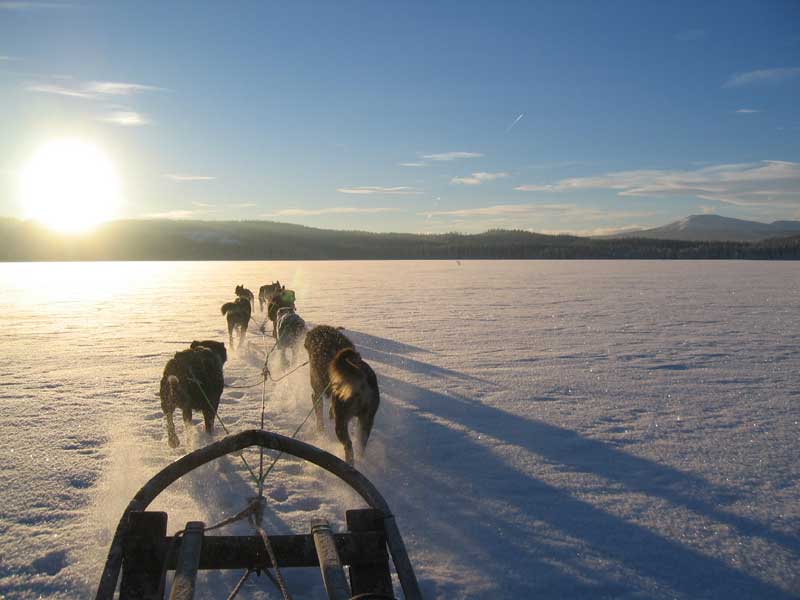 Holiday Club Hotel Åre, Zweden wintersport 2023/24 met KLM