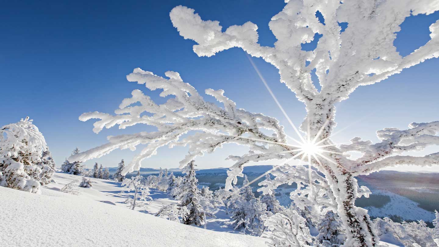 Wintersport Luleå Zweeds Lapland - met BBI Travel