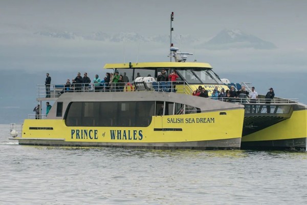 Canada excursie Whale Watching Vancouver