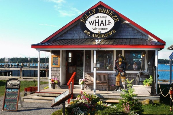 Canada excursie Walvistocht Jolly Breeze St. Andrews-by-the-Sea New Brunswick