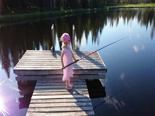 Vissen in Finland
