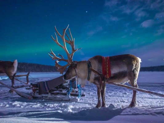 Het beste van Lapland, winteravontuur 2020/2021