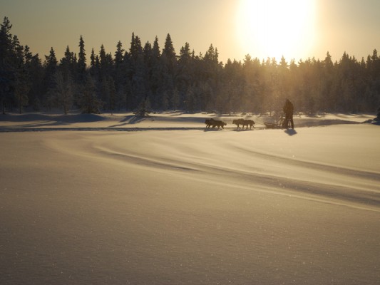 Winteravontuur in Lapland